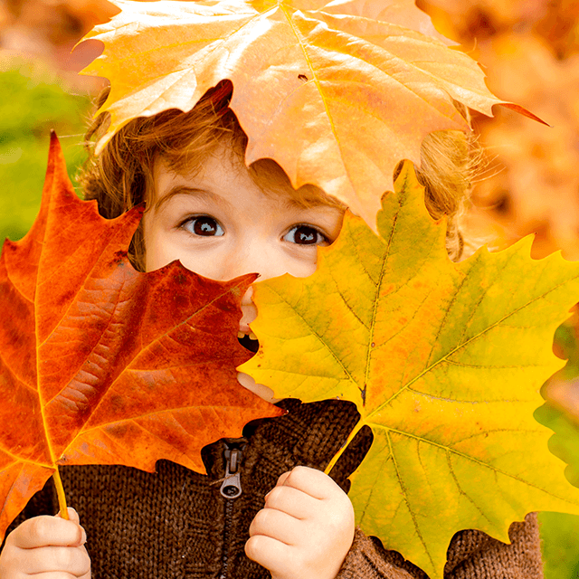 Child holding colorful autumn leaves in hands outdoors